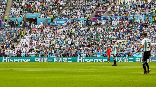 1672193759243051235.jpg 4.jpg